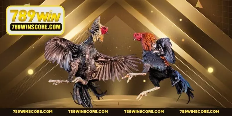 Chìa khóa giúp bạn thắng lớn trong cuộc chơi